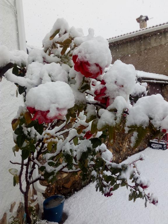 El Cortijo Nuevo, En Country house *