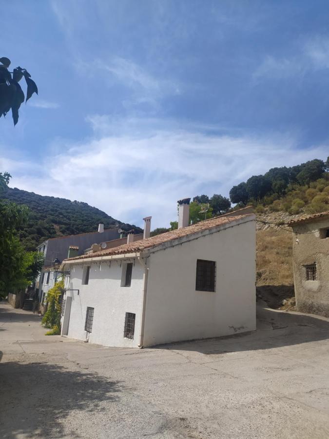 El Cortijo Nuevo, En *