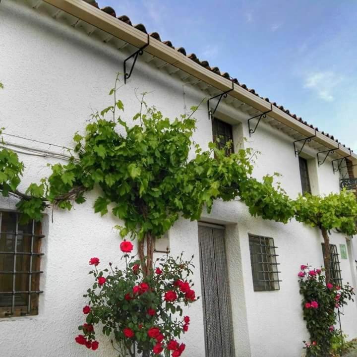 El Cortijo Nuevo, En *