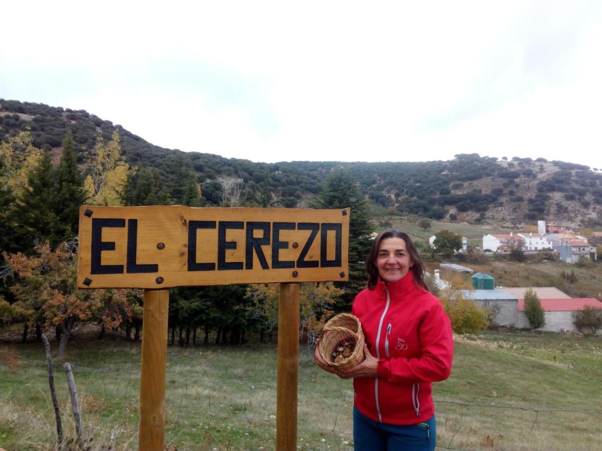 Casa de camp El Cortijo Nuevo, En El Cerezo